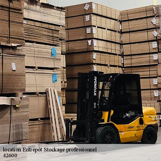 location-entrepot-stockage-professionnel-5