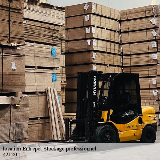 location-entrepot-stockage-professionnel-5