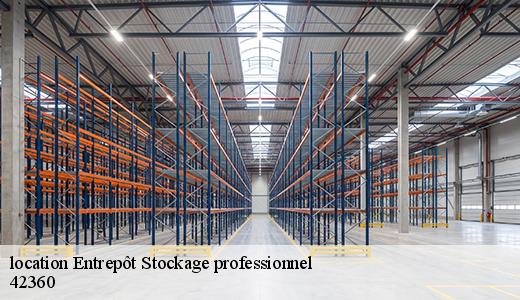 location-entrepot-stockage-professionnel-2