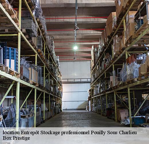 location-entrepot-stockage-professionnel-1