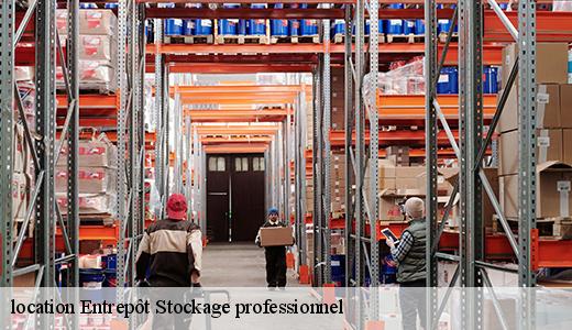 location-entrepot-stockage-professionnel-3